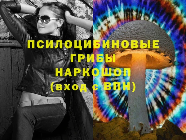сатива Володарск