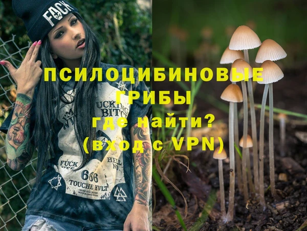 сатива Володарск