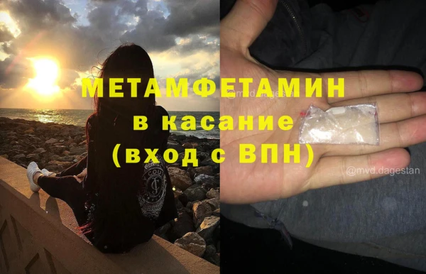сатива Володарск