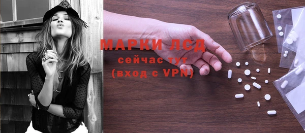 шишки Усолье-Сибирское