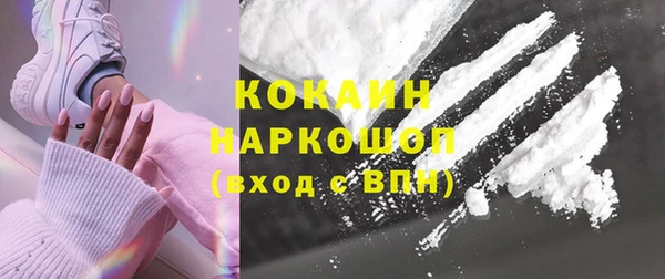 стаф Вязьма