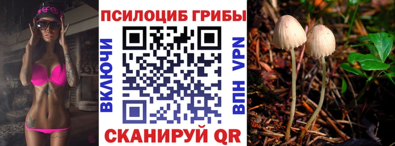 Псилоцибиновые грибы прущие грибы  ОМГ ОМГ tor  Заводоуковск  нарко площадка наркотические препараты  магазин   